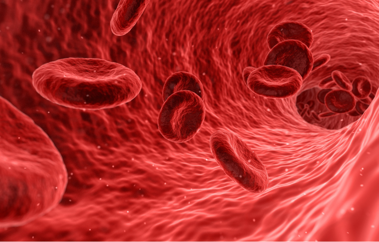 Transfuzioloģija un imūnhematoloģija